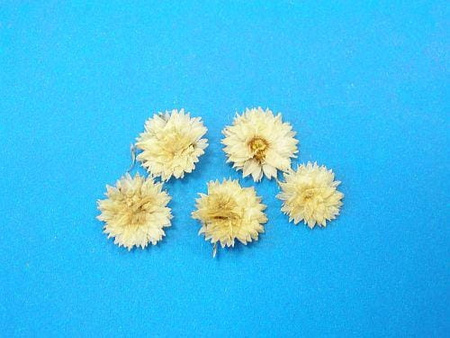 Kwiaty Suszone Kw 07