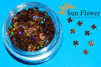 Koniczynka Kn41 - Hologram