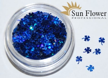 Koniczynka Kn39 - Hologram