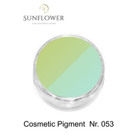 Cosmetic Pigment  Cp053 Świecący W Ciemności ! Smokey Effect !