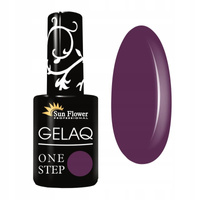 Gelaq One Step 511